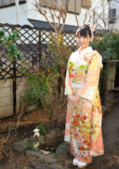 一般着付・芸者・舞踊などの特殊着付川崎、横浜、東京都内まで出張着付